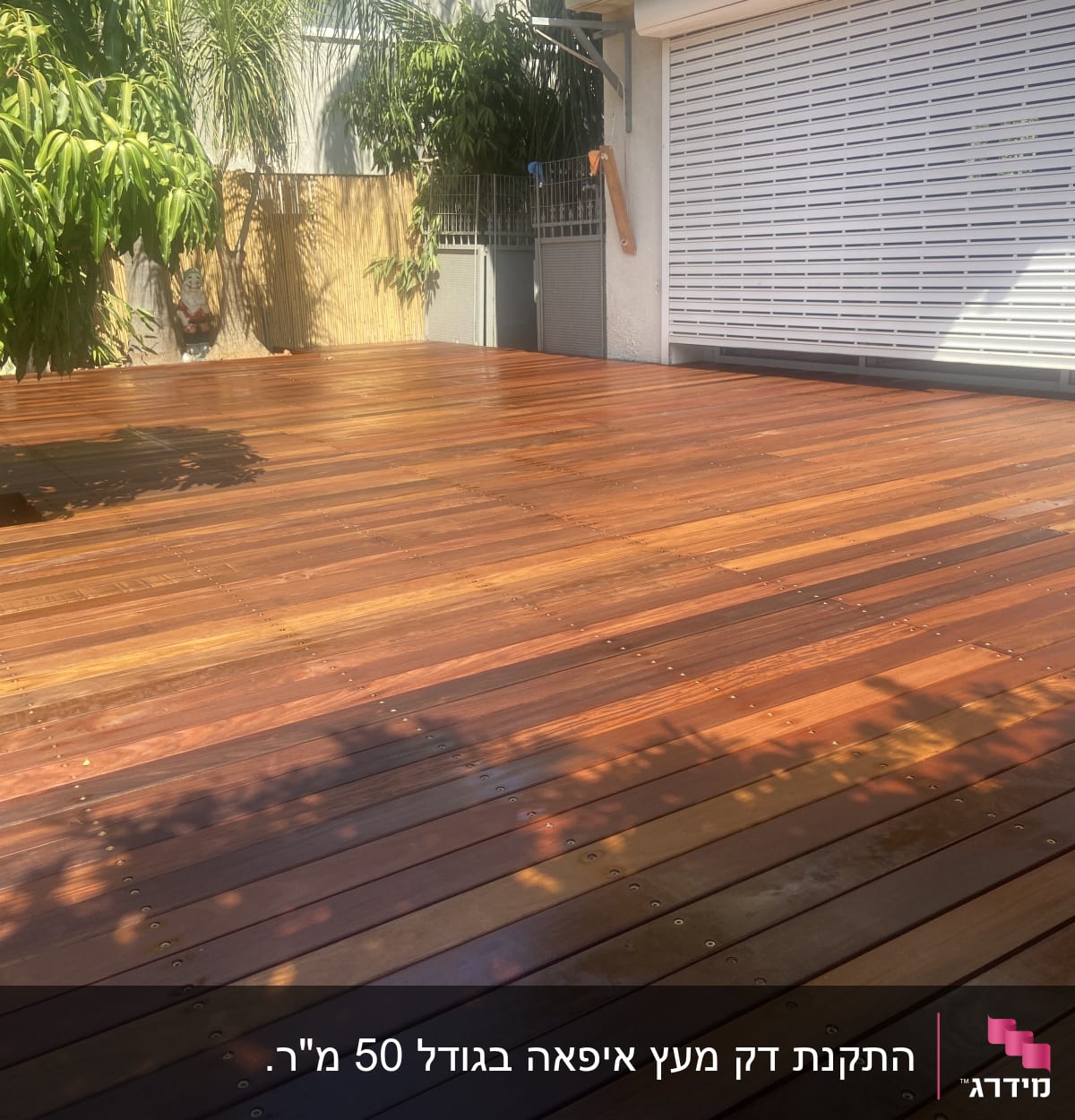 דק עץ חום עם עץ צומח דרכו